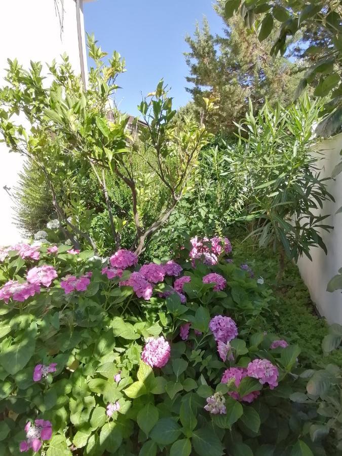 Casa Vacanze Villa Rosa Cala Gonone Eksteriør billede